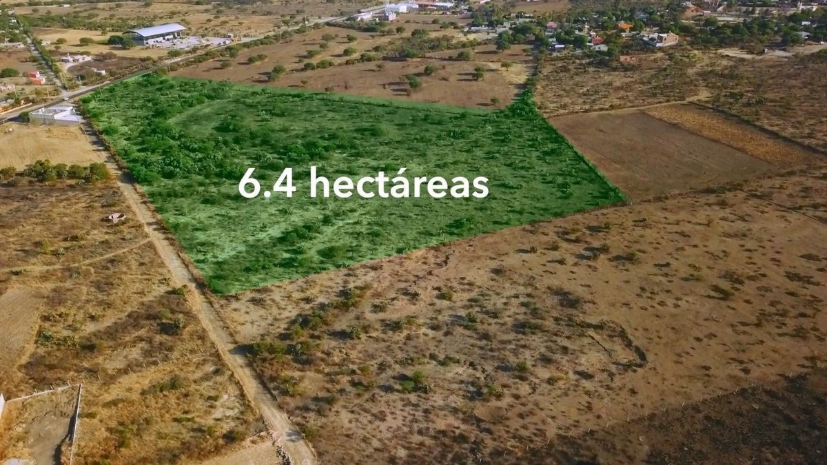 Imagen 6 de 7