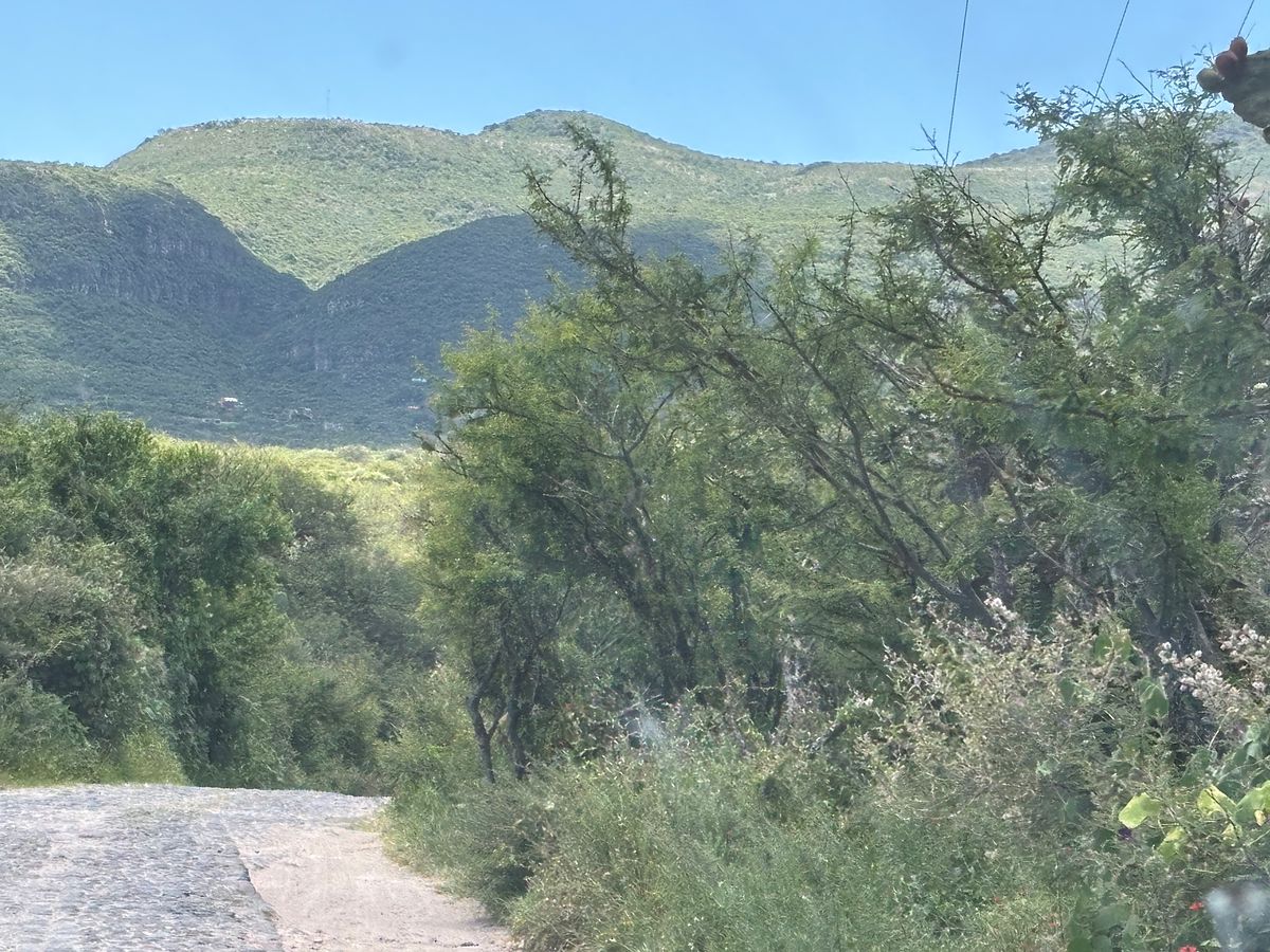 Lote em Estancia de Canal, San Miguel de Allende, foto 9 de 28