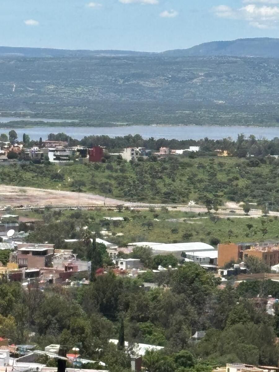 15 de 15: Zona arbolada circundante.