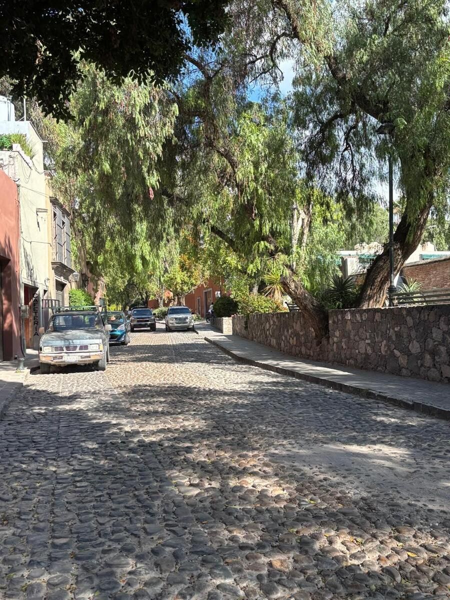 10 de 15: El diseño arquitectónico que convive con la naturaleza.