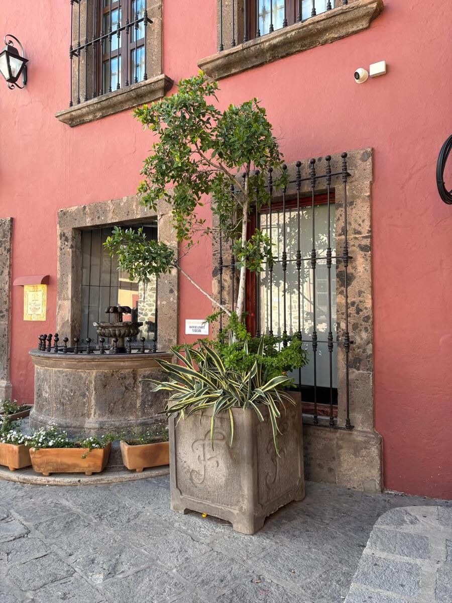 7 de 15: Convivencia de lo clasico con la estructura contemporánea.