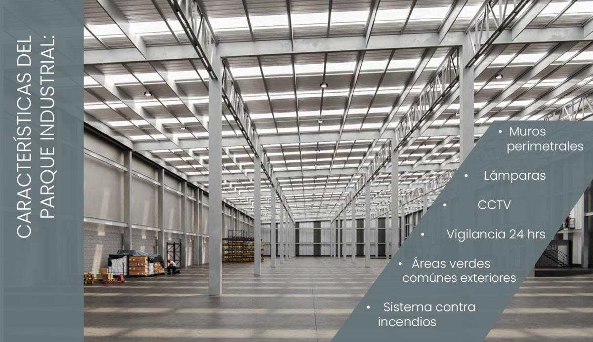 10 de 16: SERVICIOS