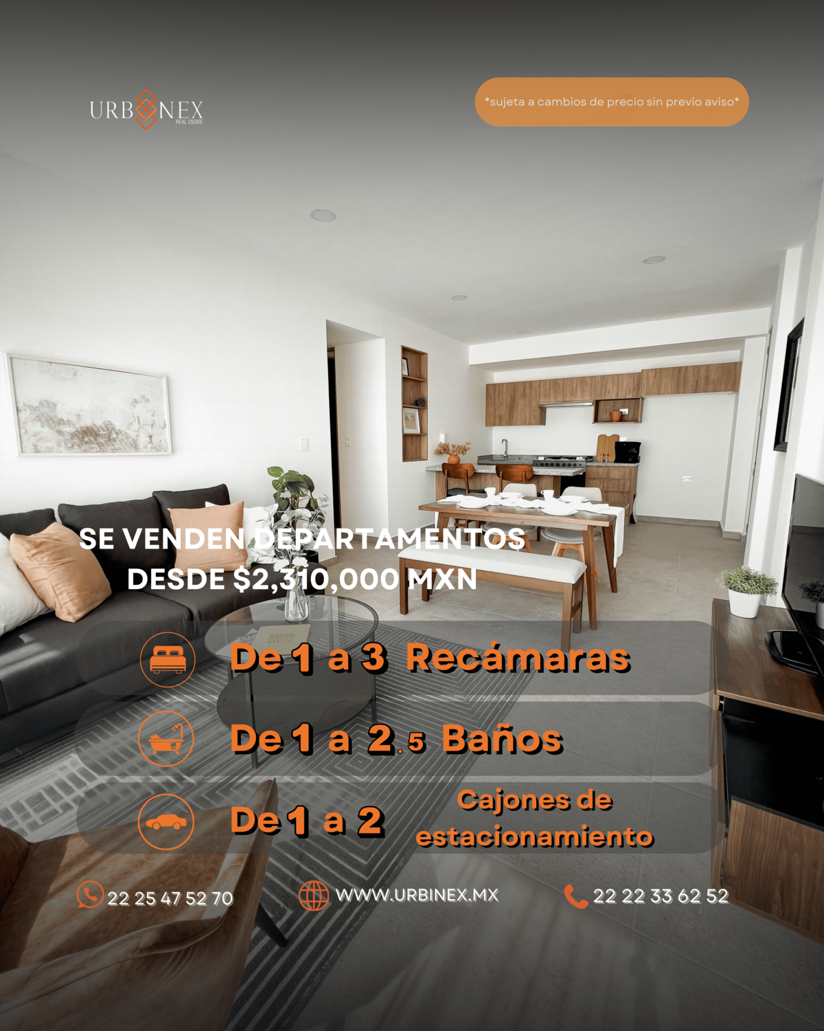 1 de 19