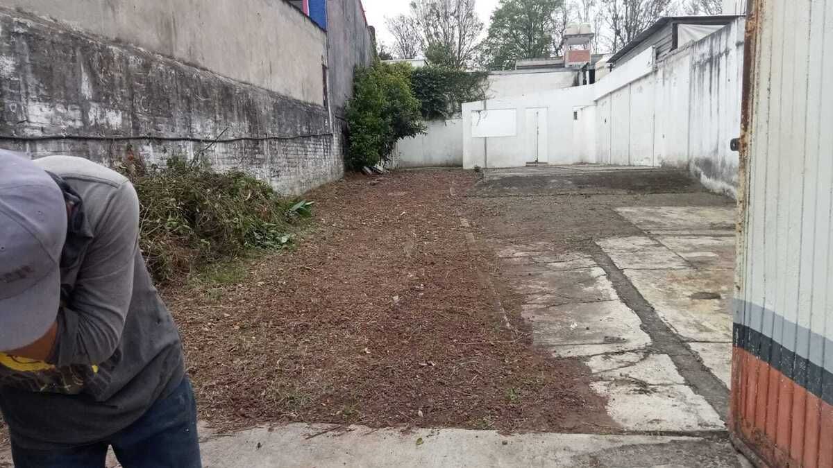 3 de 6