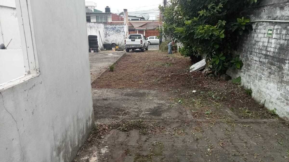 4 de 6