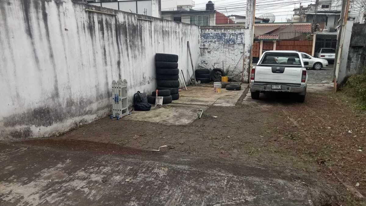 5 de 6