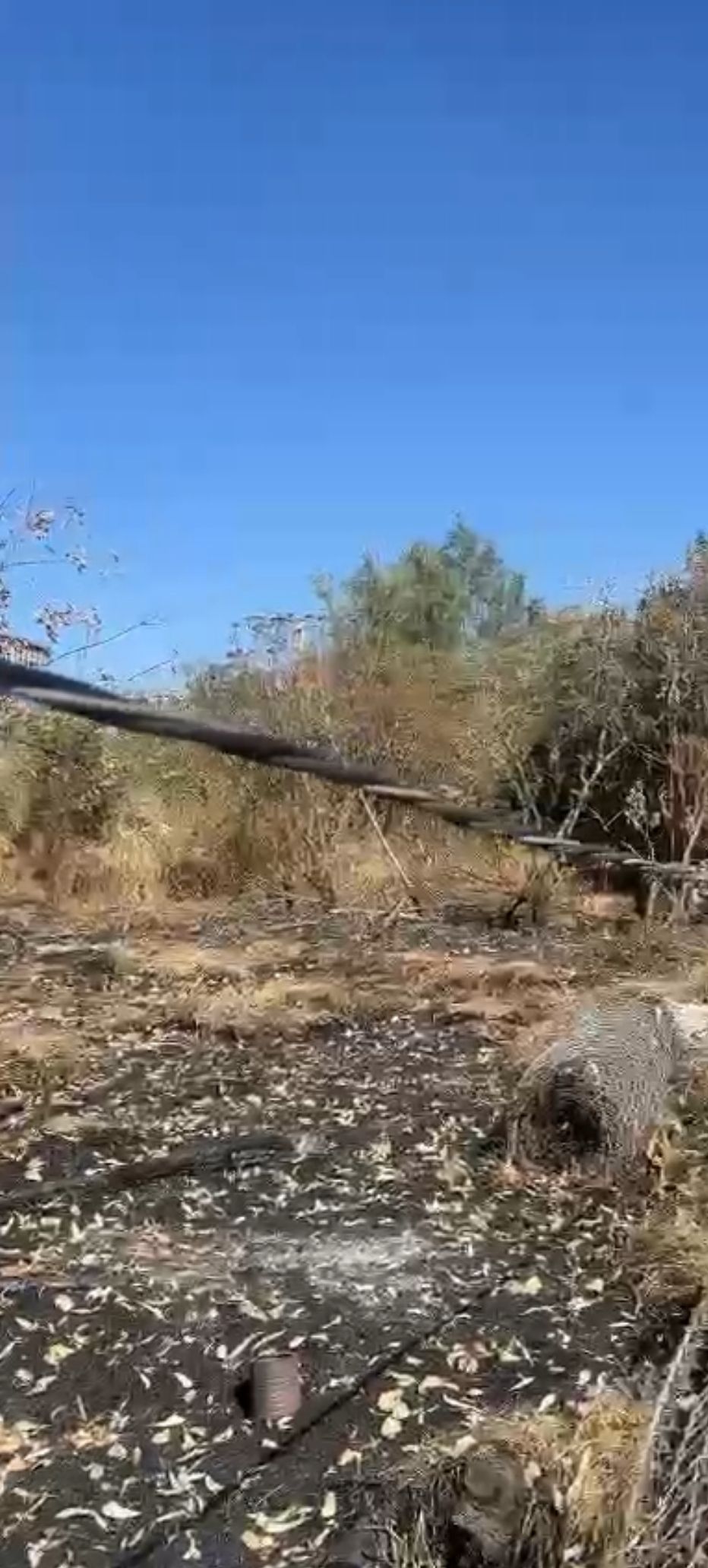 4 de 7