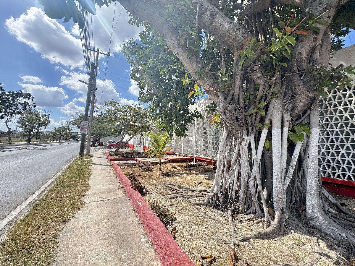 Terreno con construcción en Avenida Principal Aeropuerto Mérida Yucatan - foto 5