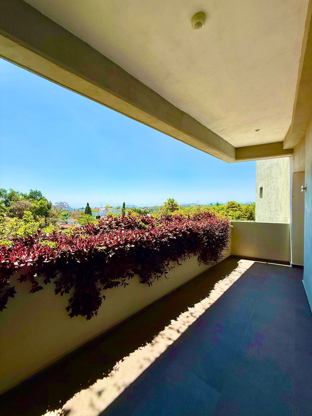 Apartment in Cuernavaca Centro, Cuernavaca, photo 20 of 20
