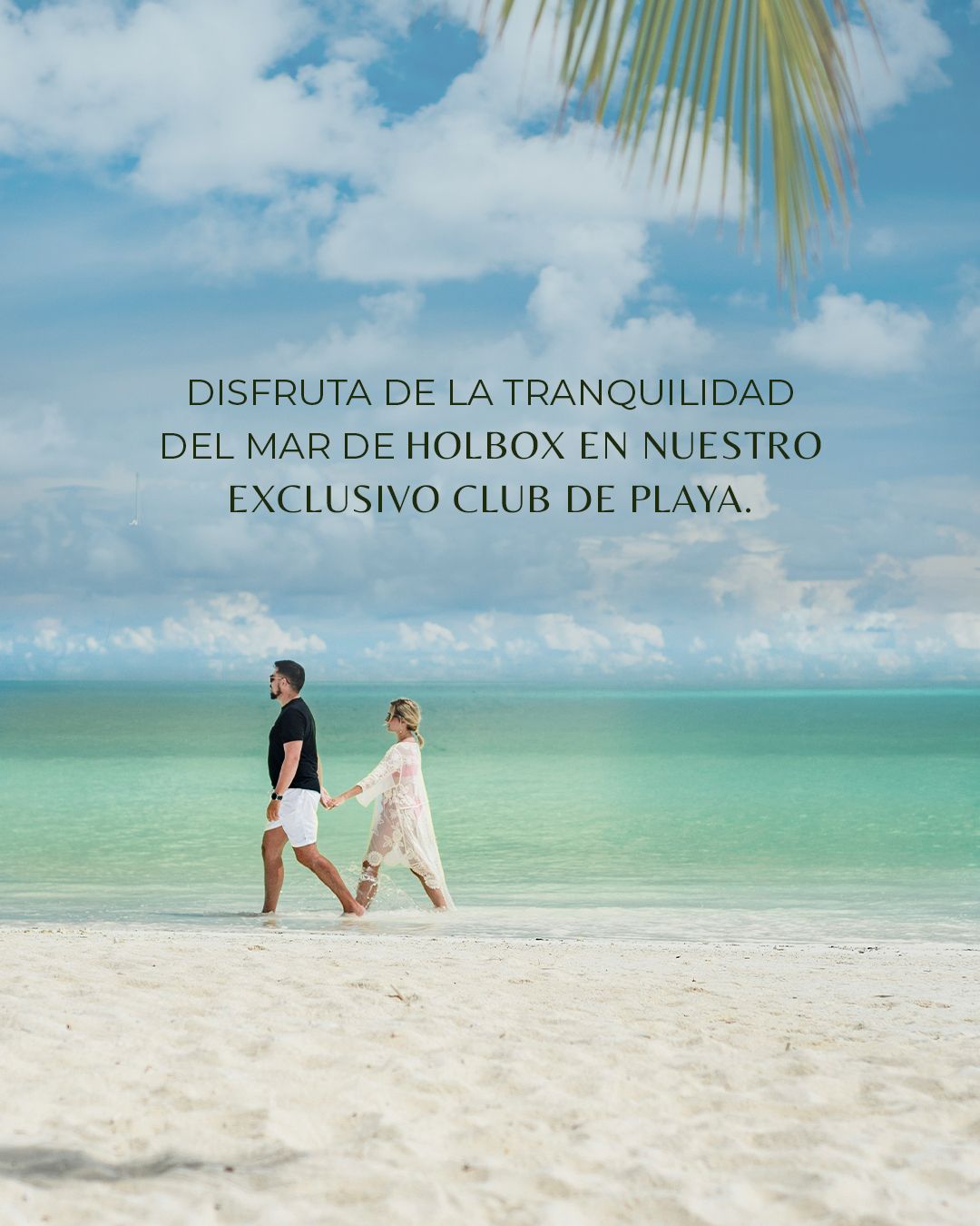4 de 11