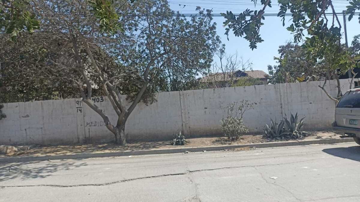 Imagen 4 de 4