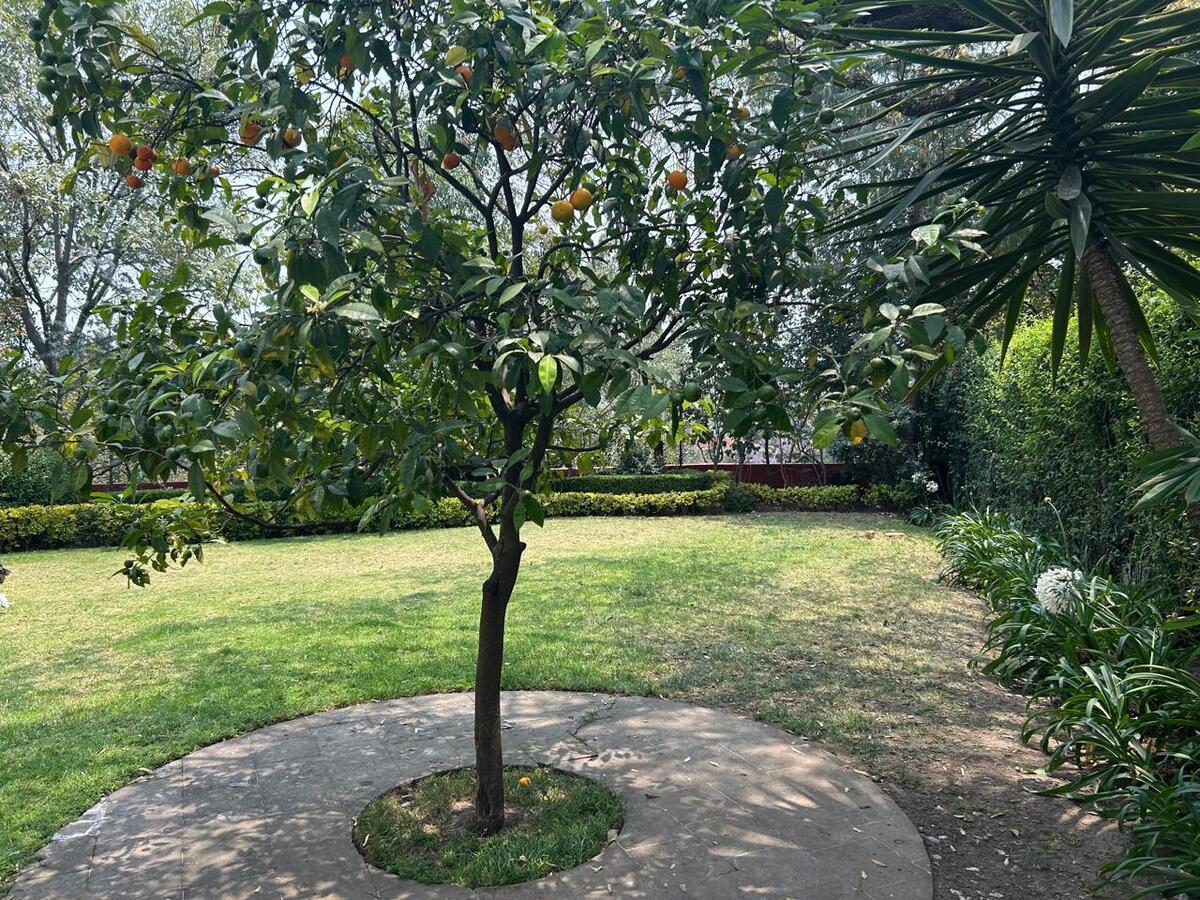 38 de 41