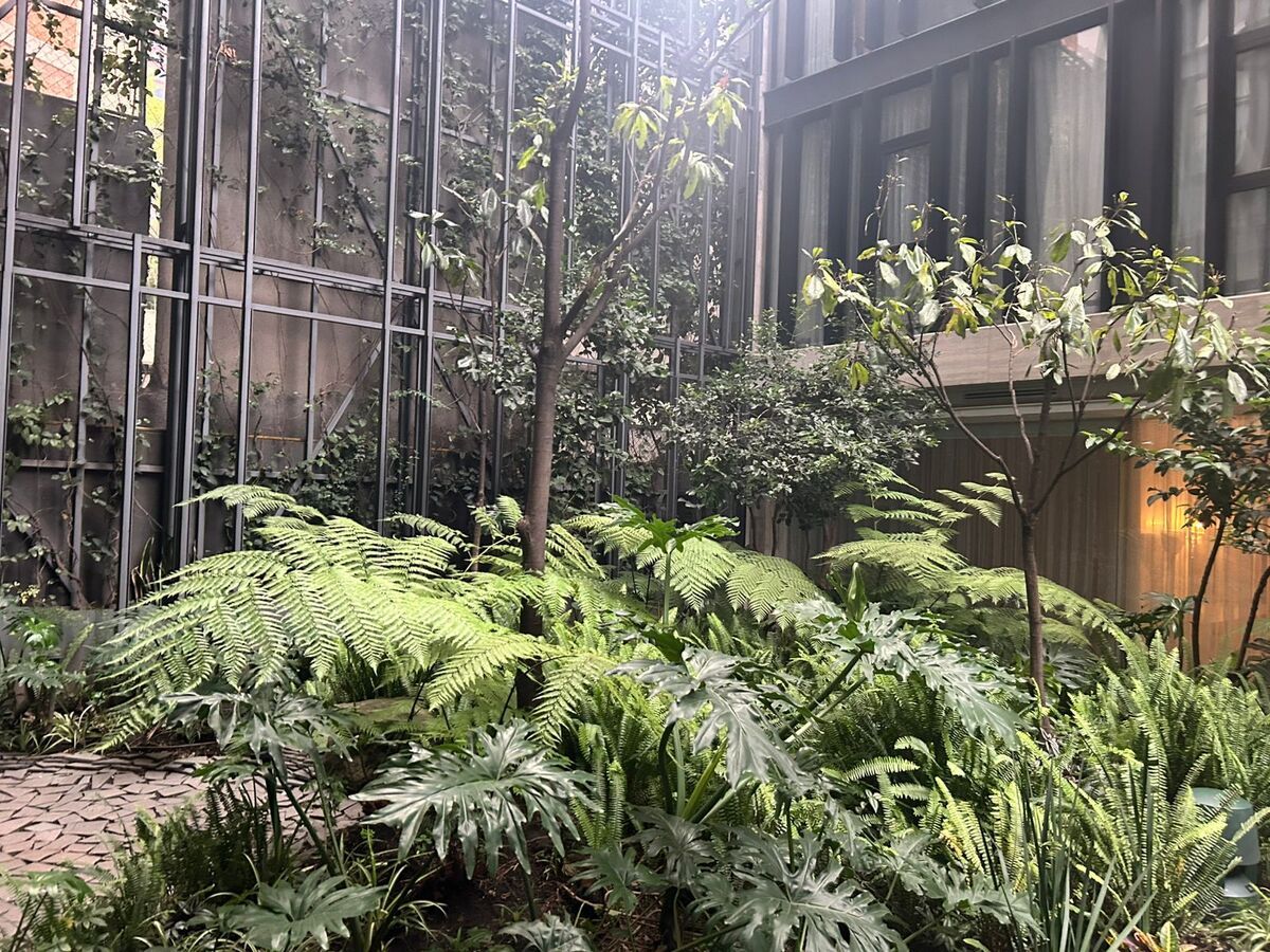 DEPARTAMENTO EN VENTA POLANCO - foto 4
