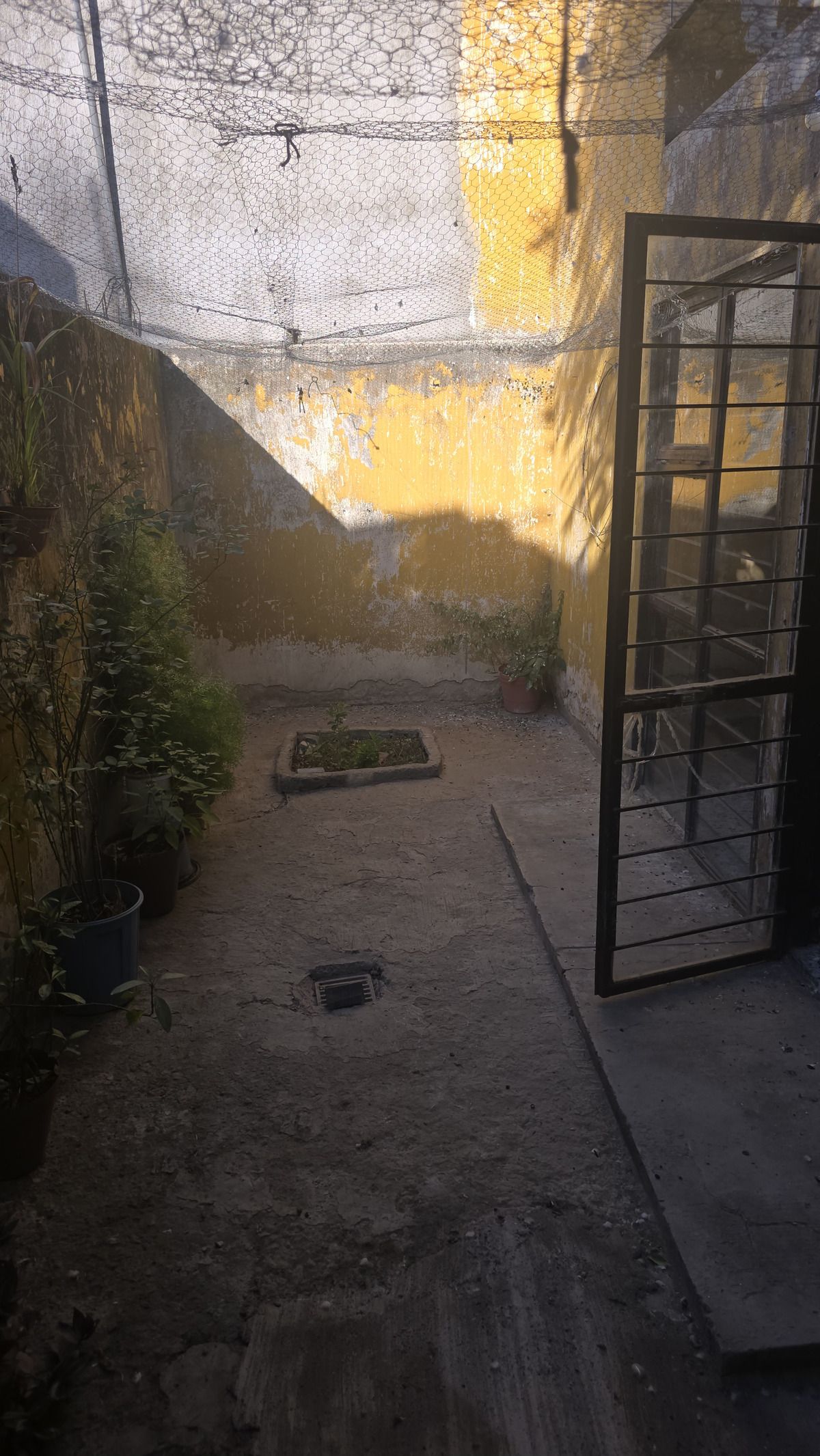 10 de 17