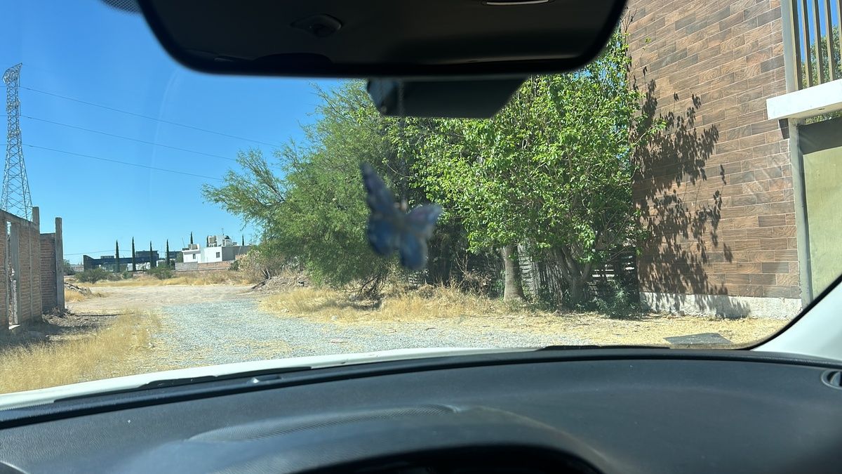 8 de 16