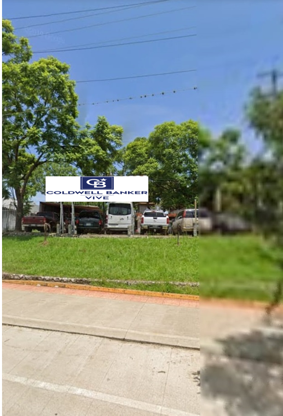 3 de 8