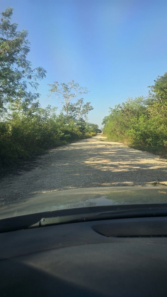 Otra vista del camino