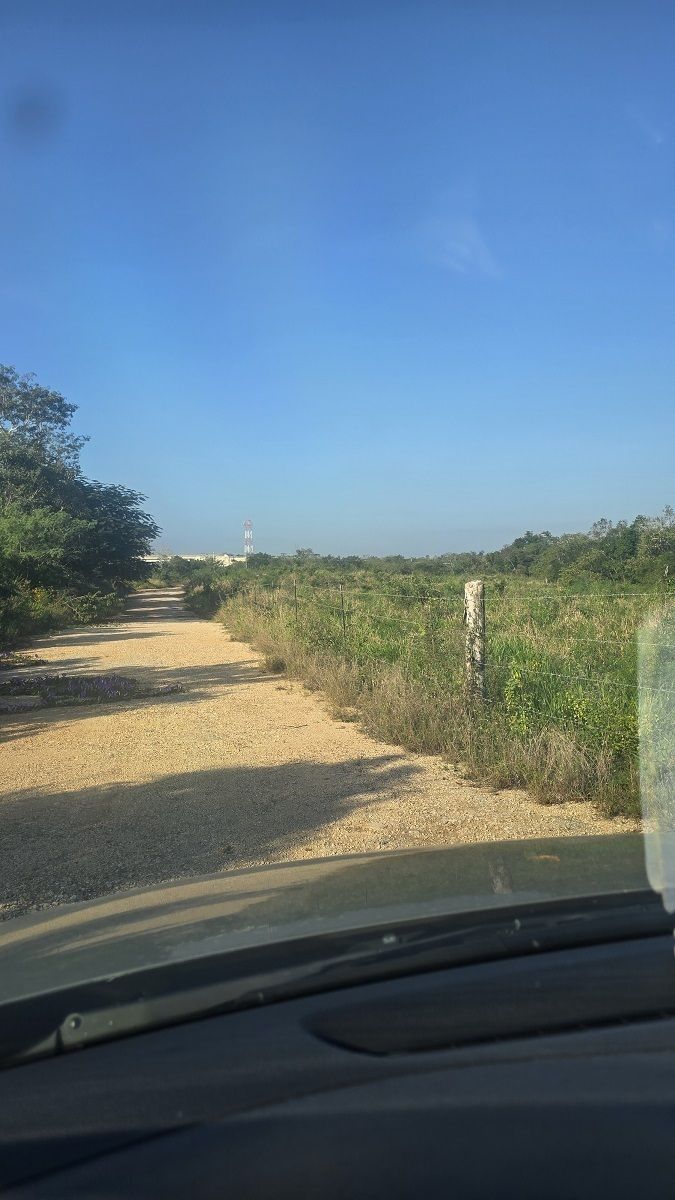 Camino al lado del las vías del Tren Maya