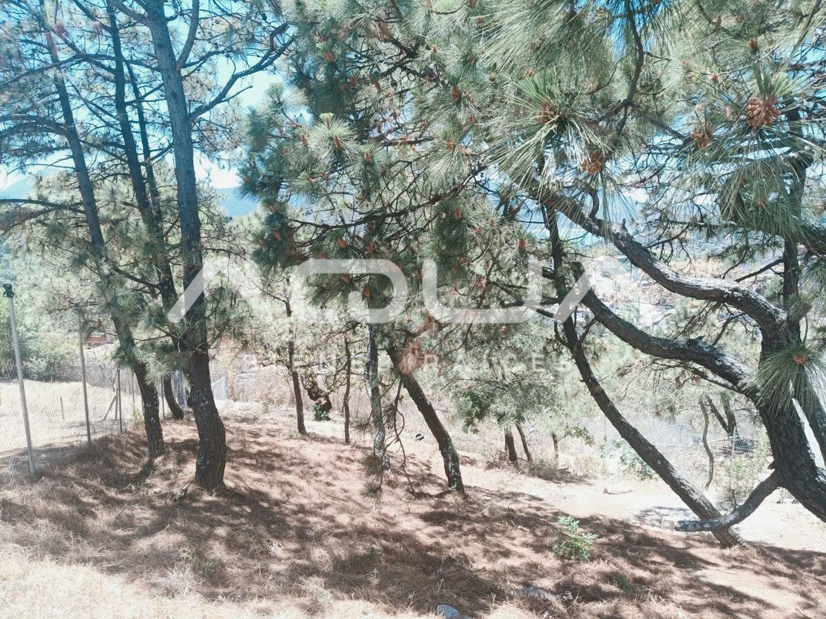 5 of 19