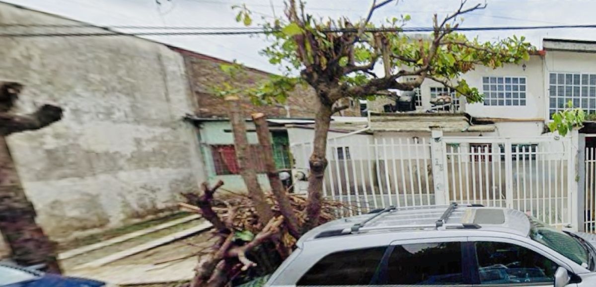 Imagen 2 de 7