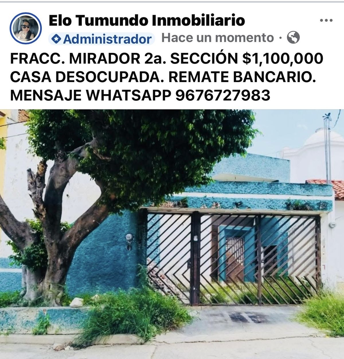 24 de 29
