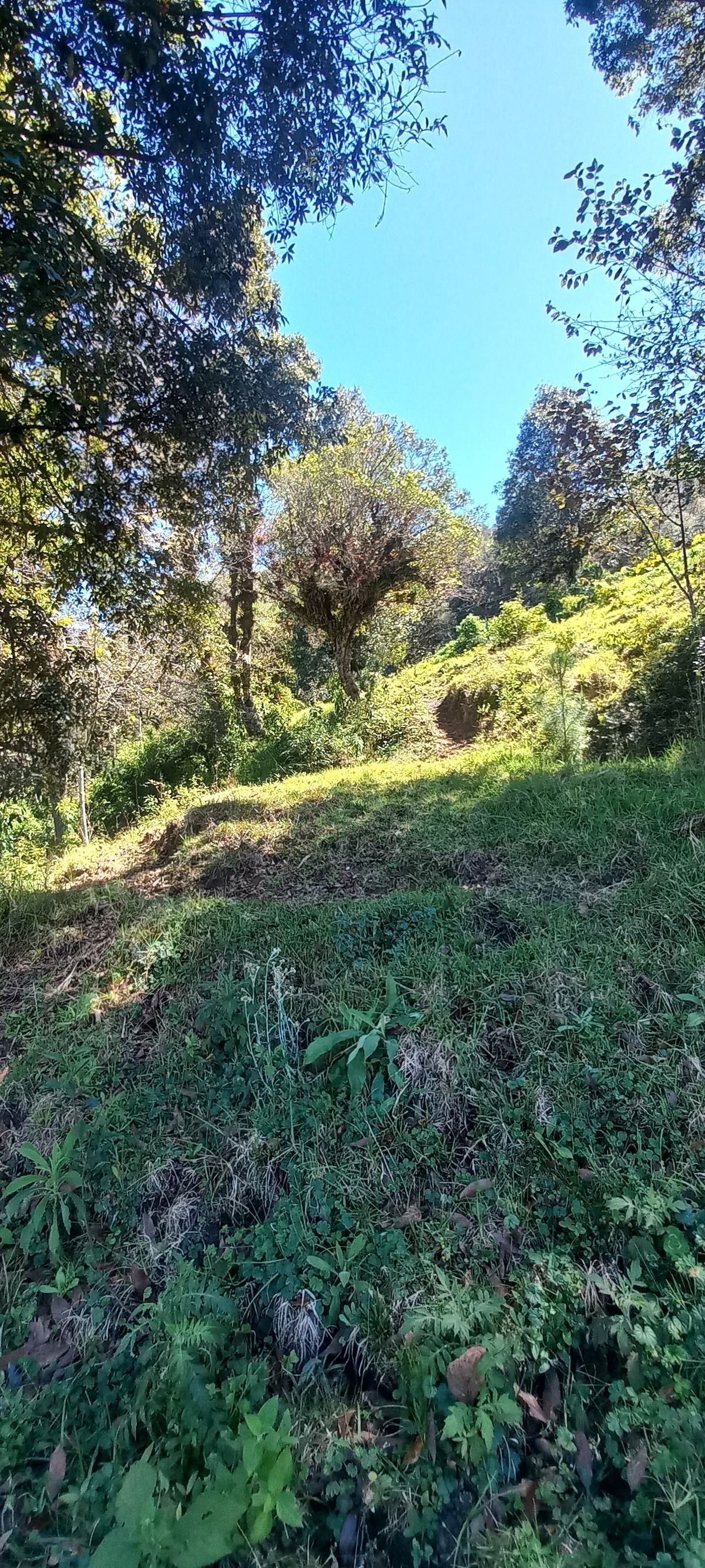 3 de 4
