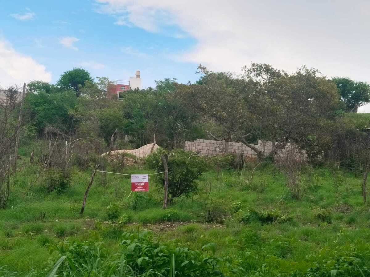 9 de 9