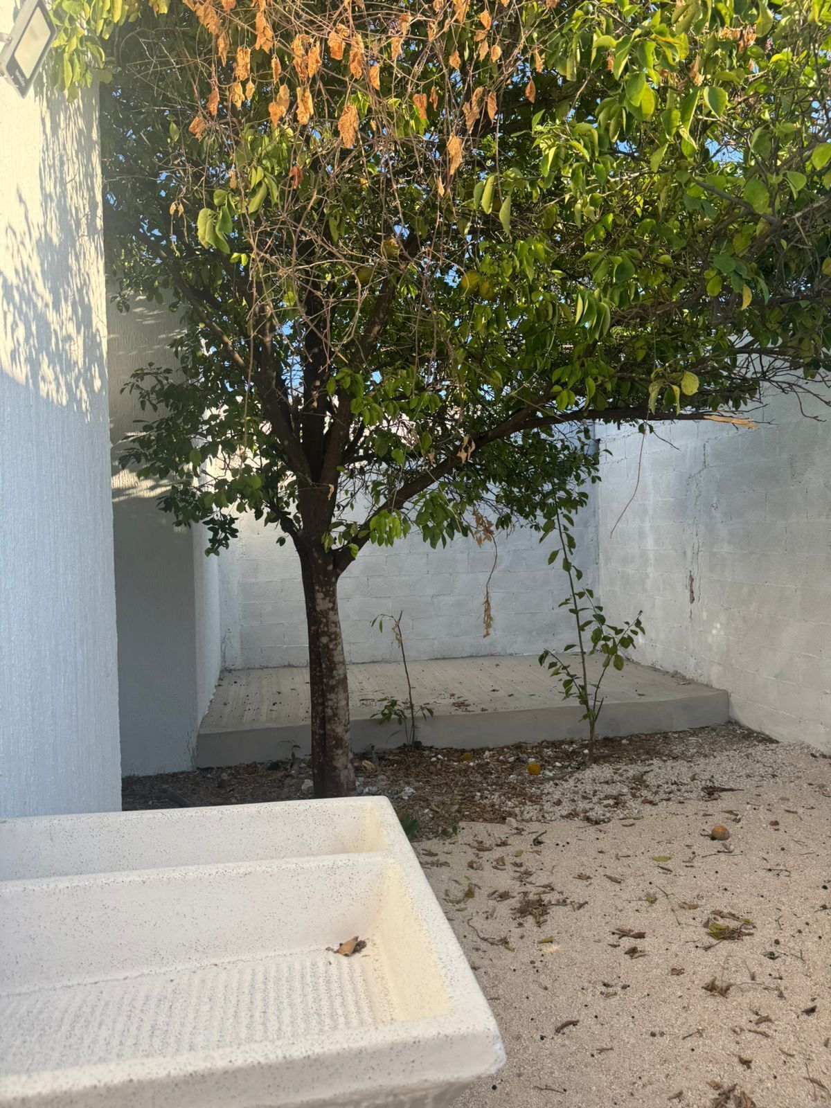 16 de 16