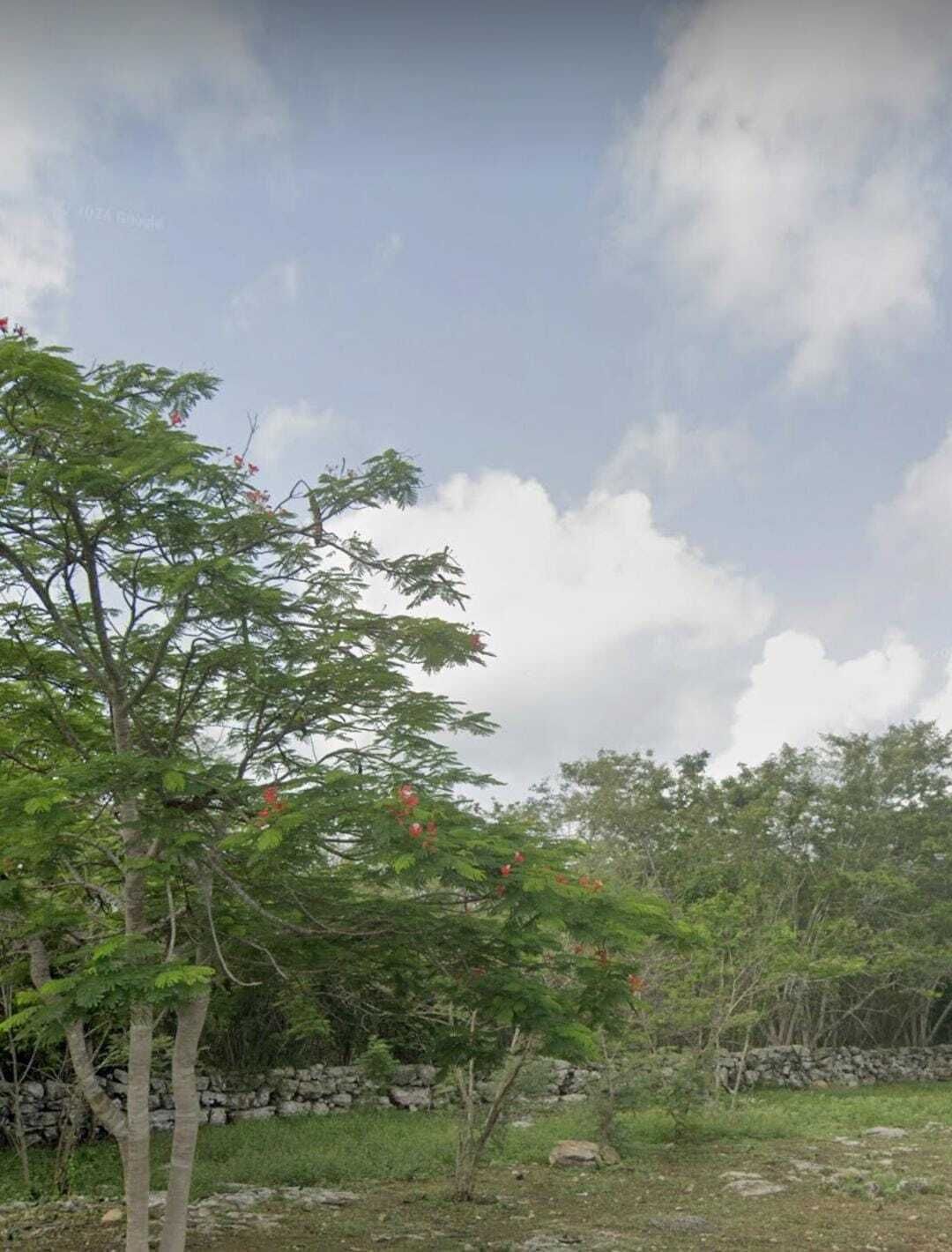4 de 8