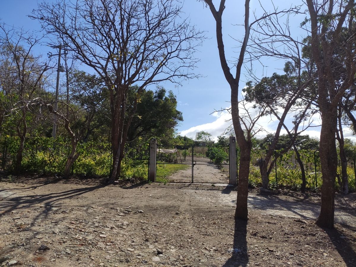 3 de 6: Malla frontal