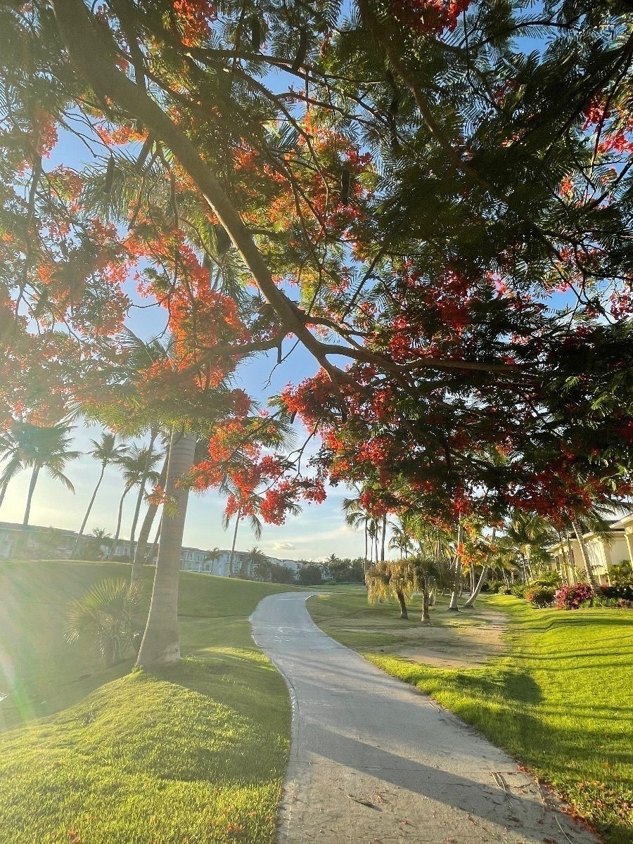42 de 45: Meliá Golf Course