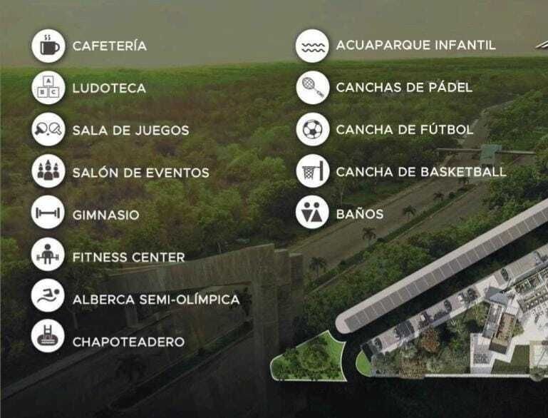 2 de 6