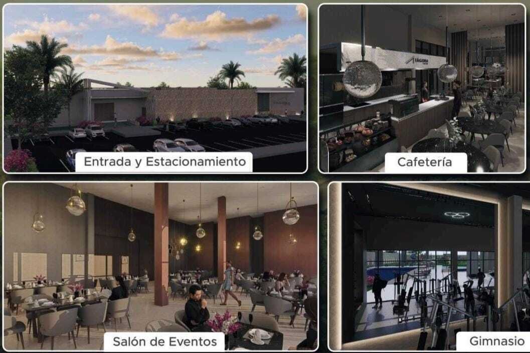 5 de 6
