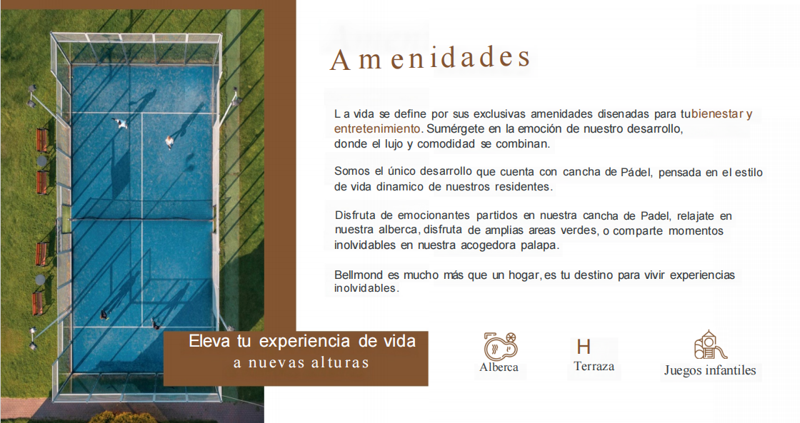 11 de 17
