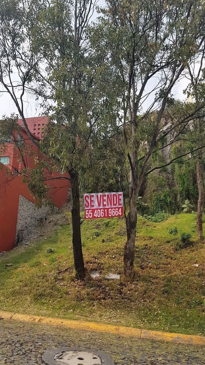 9 de 13
