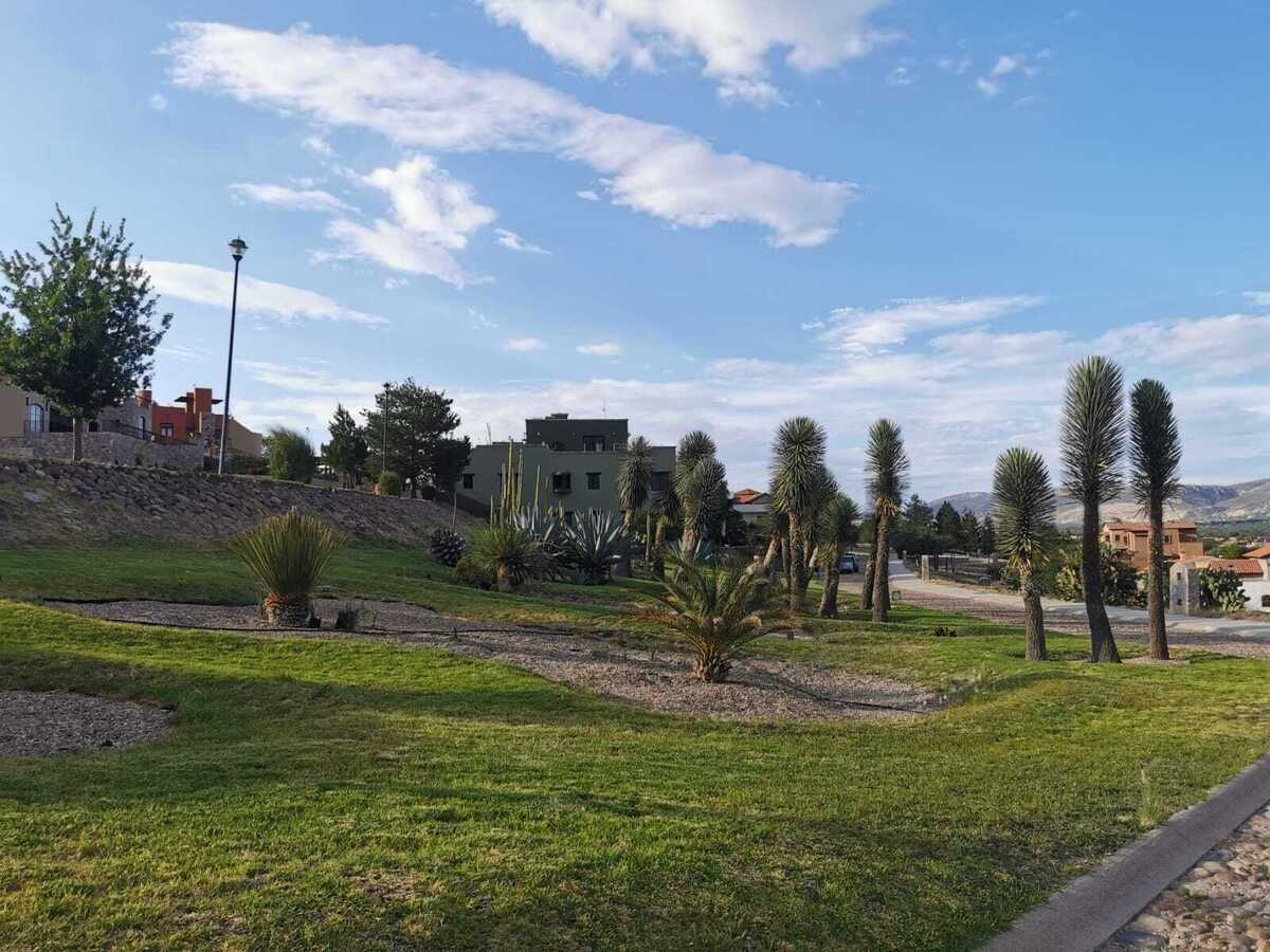 14 de 50