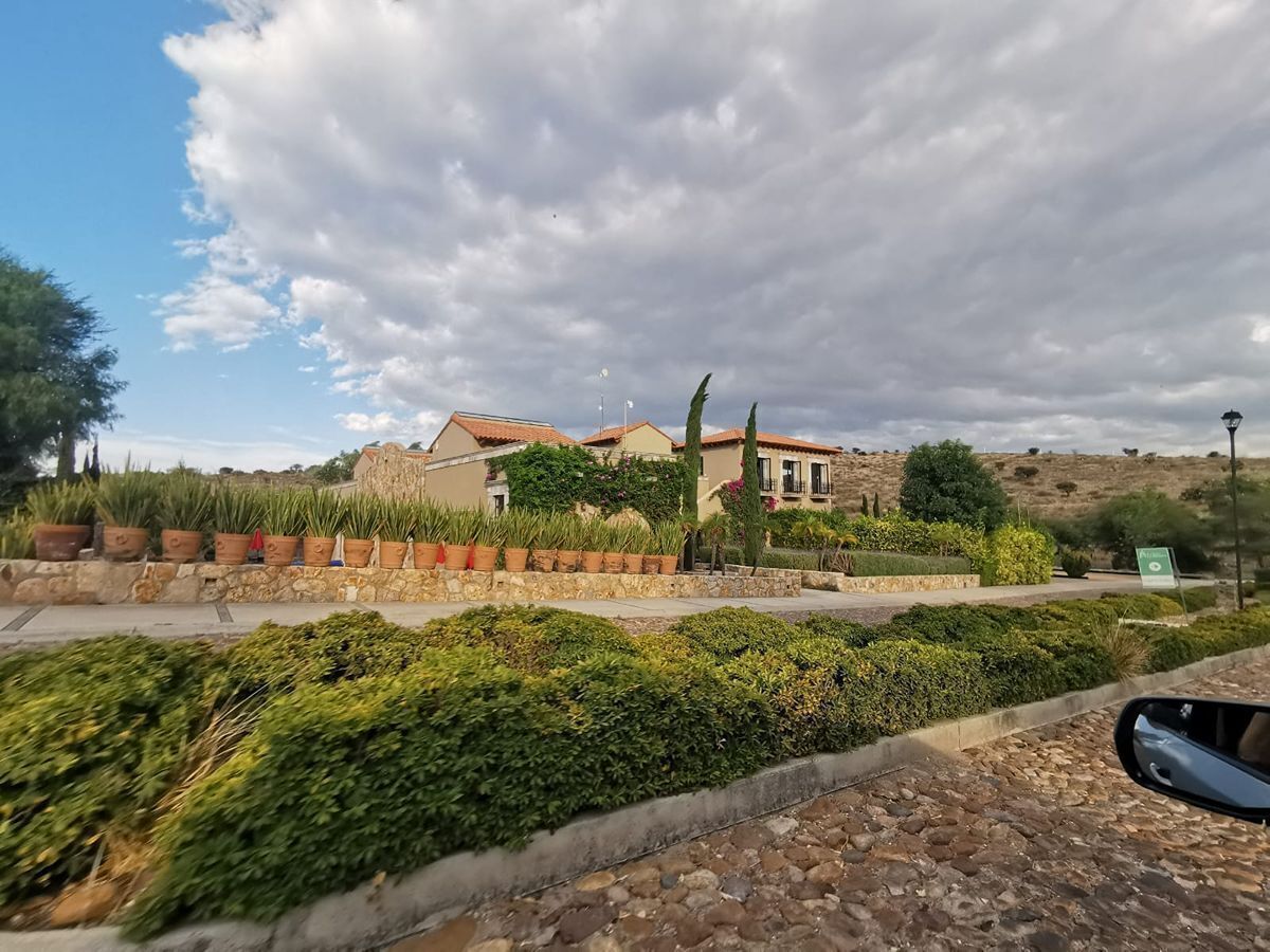 39 de 50