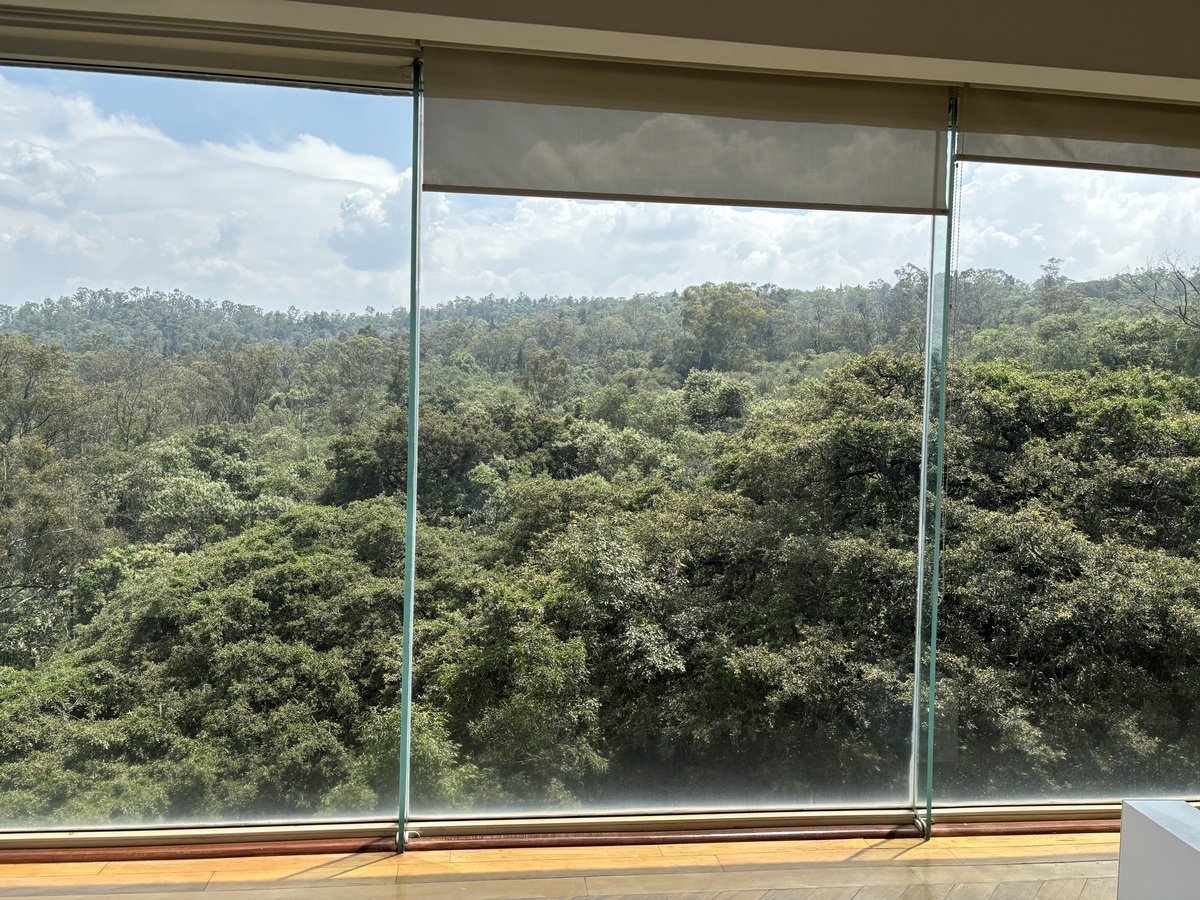 5 de 26: Departamento en Renta en Jardines en la Montaña Rayo Vende ®