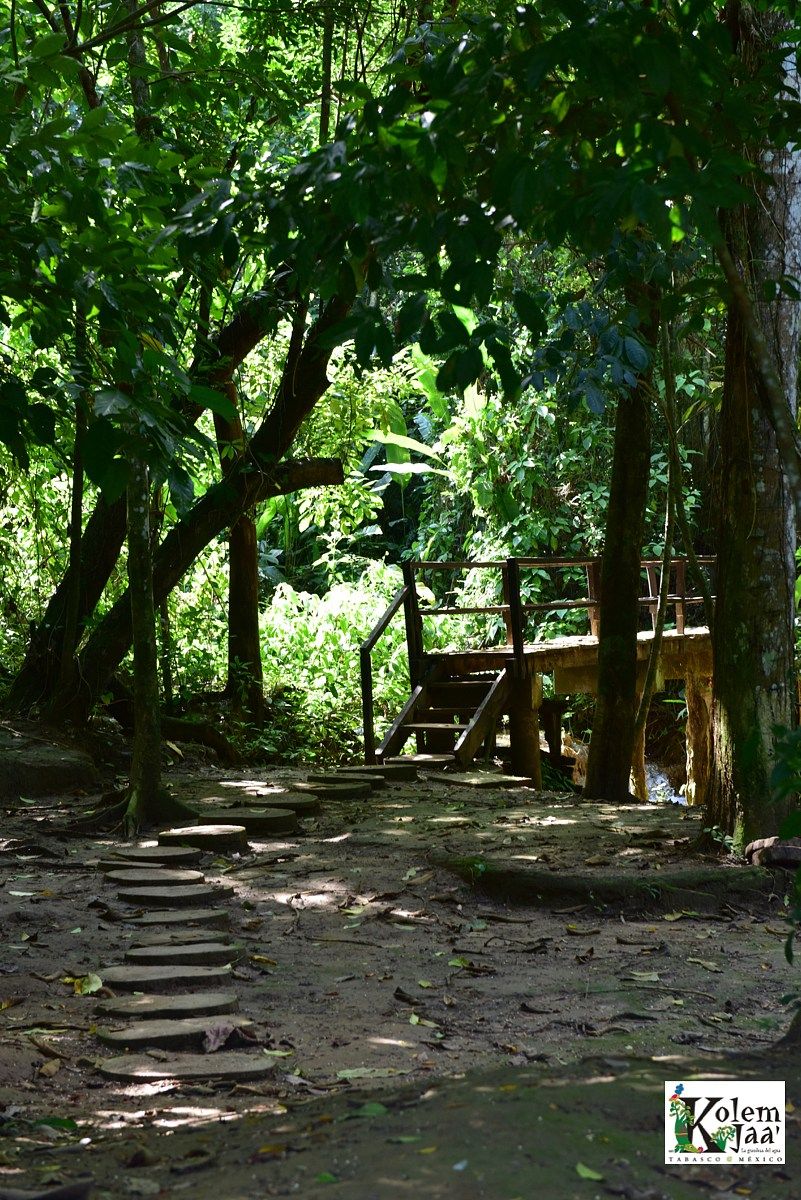 Rancho en Tacotalpa, Tacotalpa, foto 45 de 46