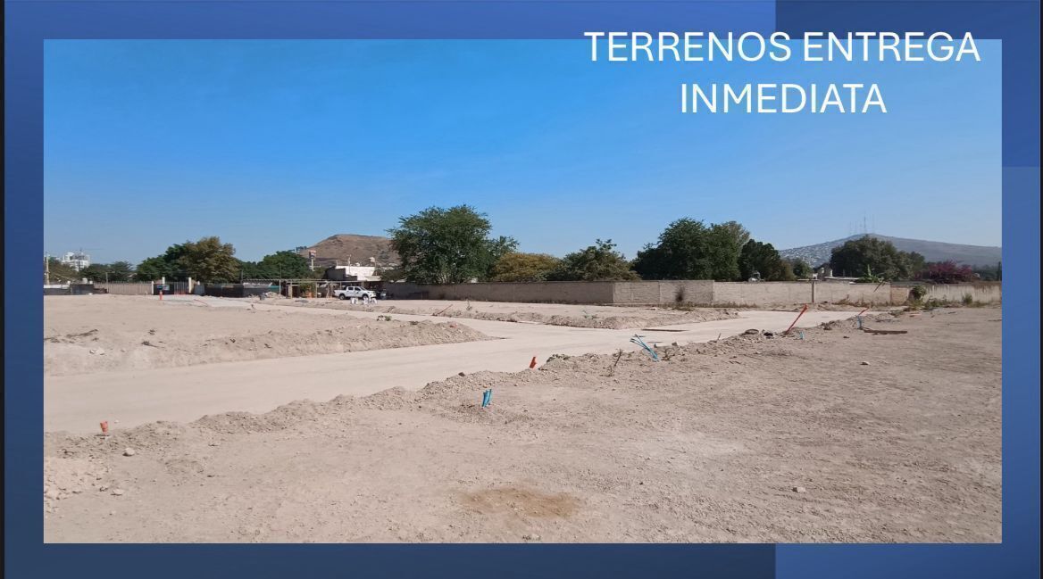 Imagen 7 de 10