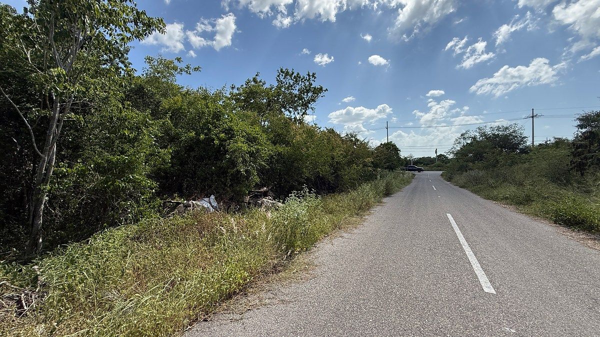 Lot in Tamanché, Mérida, photo 3 of 5