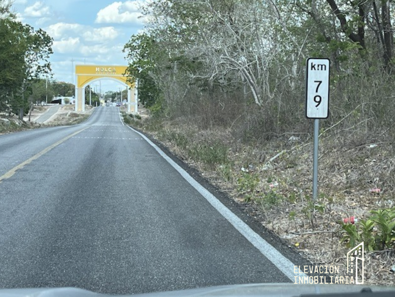 1 de 25