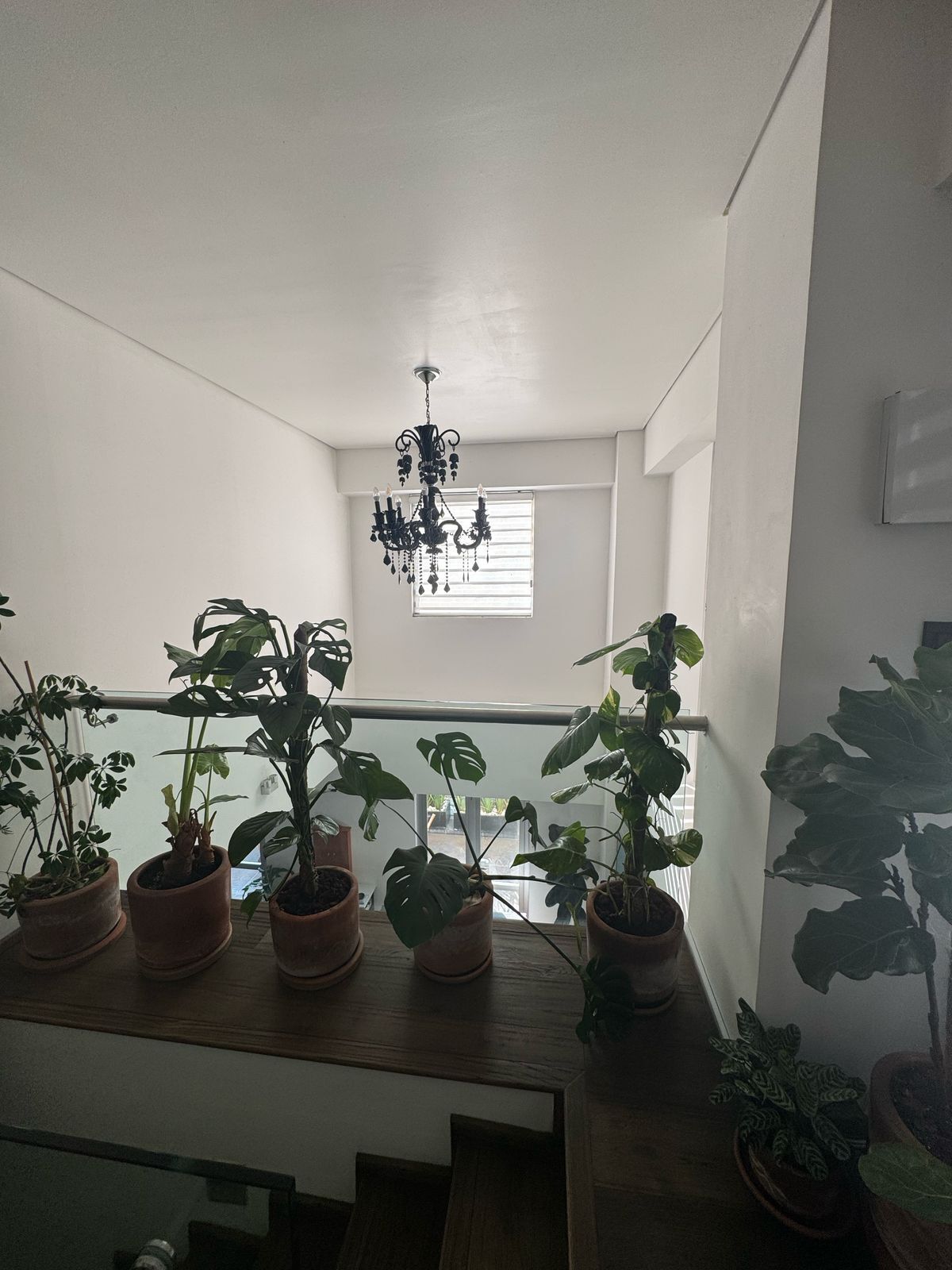 10 de 32