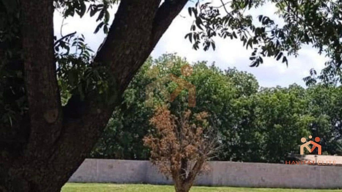 Lote em Hacienda del Nogal, Durango, foto 2 de 2