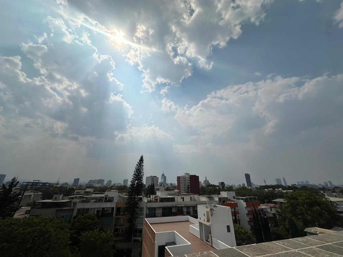 3 de 17