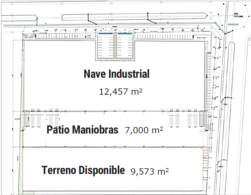 7 de 7: Planta