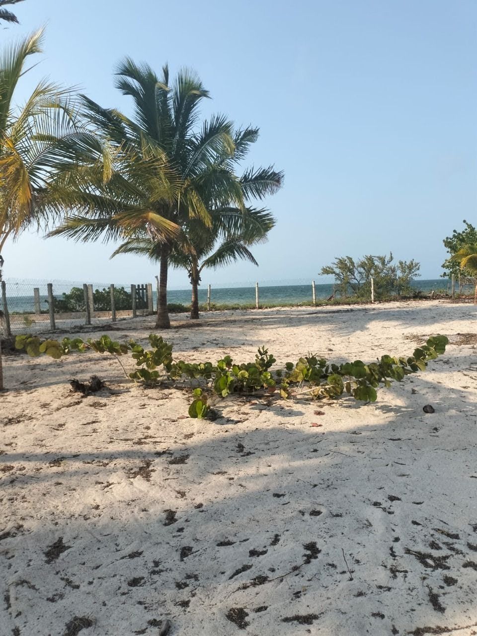 Magnífico terreno en venta a la orilla del mar