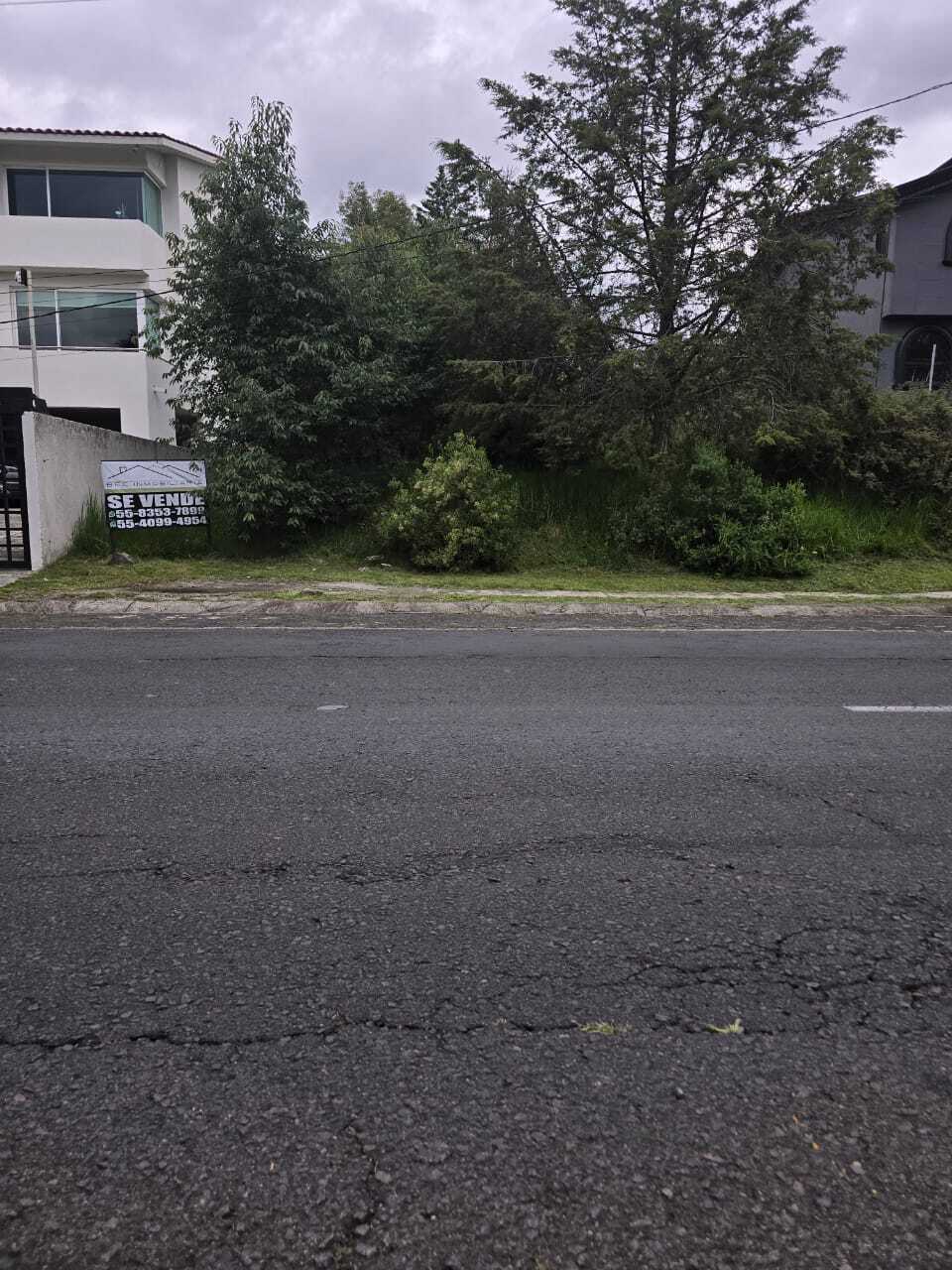 2 of 12
