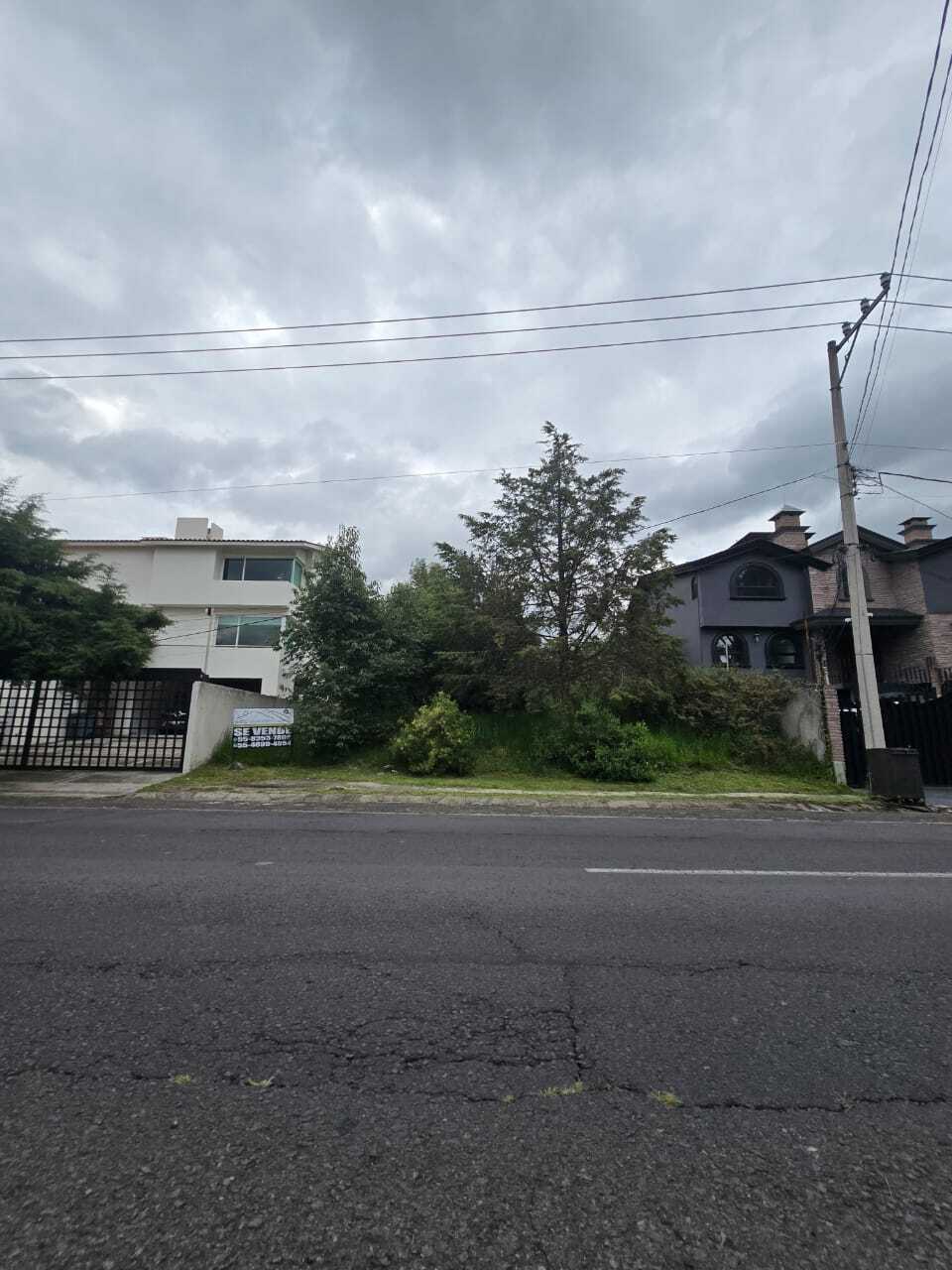 3 of 12