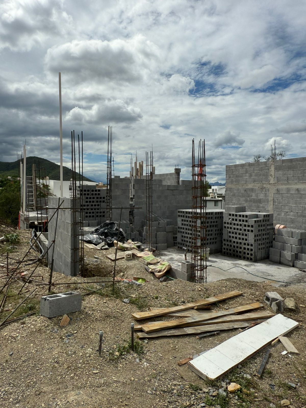 Imagen 3 de 3